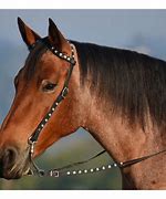 Image result for Western Bridles for Horses