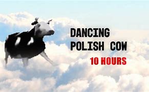 Image result for Polish Cow Meme 10 Hours
