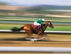 Image result for Horse Racing Dirt Track