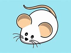 Image result for Funny Mouse Jokes