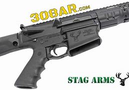 Image result for Stag Arms 308 AR