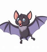 Image result for Bat Bird Cartoon
