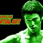 Image result for Martial Arts Styles