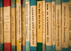 Image result for Best Books for English Paragraph