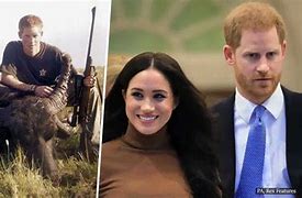 Image result for Prince Harry Hunting