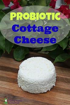 cottage cheese buy probiotic cottage cheese the healthy home economist cottage cheese buy probiotic cottage cheese the healthy home economist