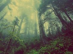 Image result for Chill Green Wallpapers