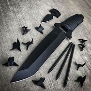 Image result for Ninja Knife Rack