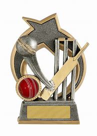 Image result for Golf Cricket Trophies