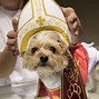 Image result for Pope Francis in Style