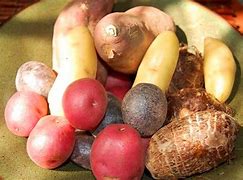 Image result for Tubers