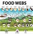 Image result for Consumer Animals List