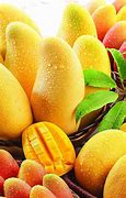 Image result for Fresh Mangoes