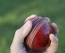 Image result for Cricket Ball Serving Bowls