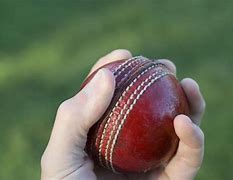 Image result for Cricket Swingball Ball