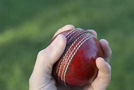 Image result for Cricket Player Bowling
