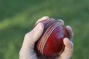 Image result for Cricket Fight