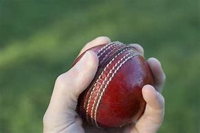 Image result for Ball Guard Cricket