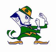 Image result for Notre Dame Leprechaun Angry Man