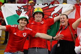 Image result for Wales Bucket Hat Fans