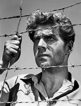 Image result for Barbed Wire Drawing