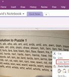Image result for Extract Text From Pic OneNote 2019