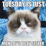 Image result for Only Tuesday Funny Work Memes