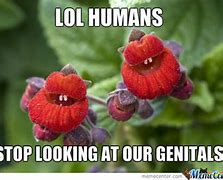 Image result for Lotus Flower Meme