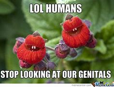 Image result for Man Smells Flower Meme