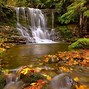 Image result for Early Fall Pics