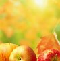 Image result for Fall Apples