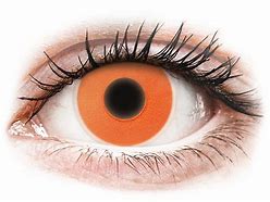 Image result for Multifocal Contact Lenses