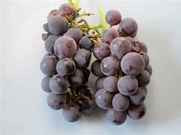 Image result for Arizona Tea Grape