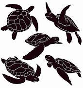 Image result for Sea Turtle Outline Vector Free Download