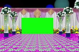 Image result for Greenscreen Wedding Photo
