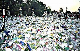 Image result for Queen Elizabeth Princess Diana Funeral