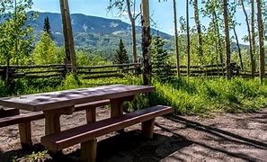 Image result for Silver Jack Cabin