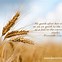 Image result for Proverbs 7 Pics