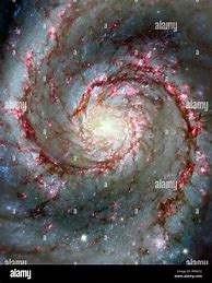 Image result for Spiral Arm Galaxy