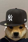 Image result for Dog with Black Hat Meme