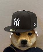 Image result for Dog with Hat Meme Profile Pic