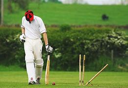 Image result for Cricket Pitch Field