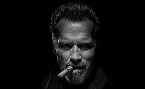 Image result for Arnold Schwarzenegger Terminator iPhone Case