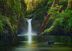 Image result for Waterfall Real Nature