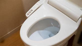 Image result for Japanese Bidet Toilet Seat