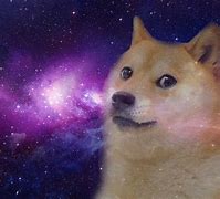 Image result for Dog I Space Funny