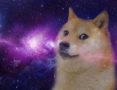 Image result for Dog in Space Funny