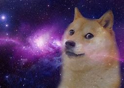 Image result for Space Dog Doge Meme