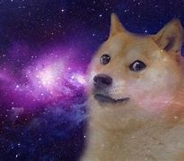 Image result for Galaxy Dog Is so Funny