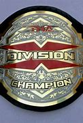 Image result for TNA X Division Championship